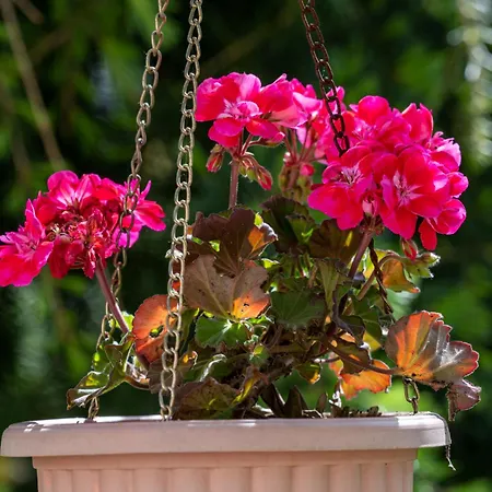 Lejlighed Palms By Interhome Matulji