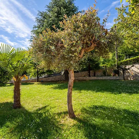 Palms By Interhome Matulji