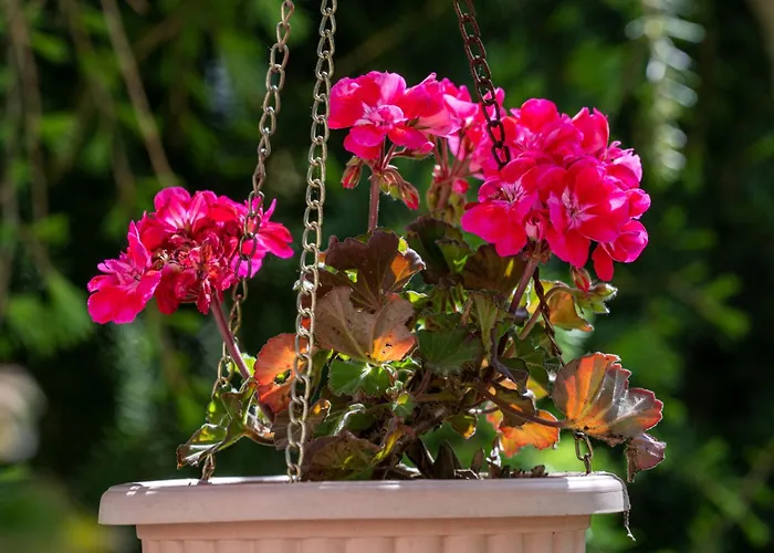 Daire Palms By Interhome Matulji