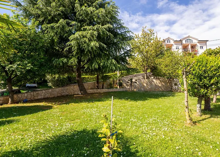 Palms By Interhome Daire Matulji